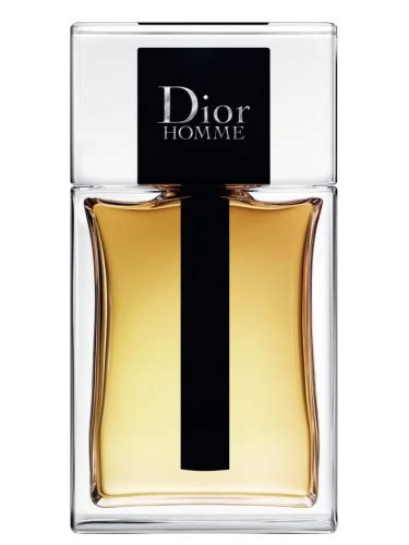 dior homme new sample|dior homme intense 2020 fragrantica.